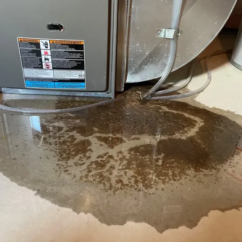 Appliance Leak Cleanup in Hendersonville, NC